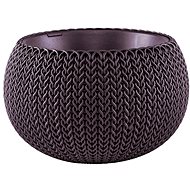 KETER POTATOES COZIES With dark purple - Flower Pot