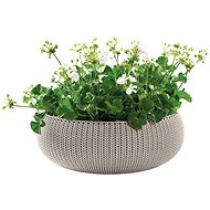 KETER Flowerpot COZIES L sandstone - Flower Pot