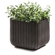 KETER CUBE PLANTER L grafit flower pot - Flower Pot