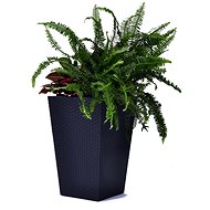 KETER RATTAN PLANTER L - Flower Pot