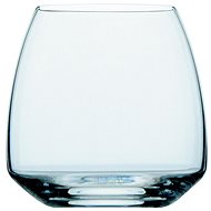 ROSENTHAL CRYSTAL TAC O2 GLOSSY Whisky - Glass