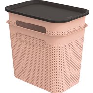 Rotho BRISEN Set of boxes with lid 7 l 2 pcs, pink - Storage Box