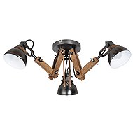 Rabalux Aksel - Ceiling Light