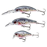 Cormoran Real Fish Lure Set Dying Roach 3pcs - Wobbler