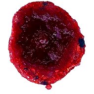 LK Baits CUC! Raisin, Wild Strawberry, 50g - Bait