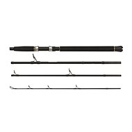 WFT Special Fjord 2,1m 30-300g 4parts - Fishing Rod