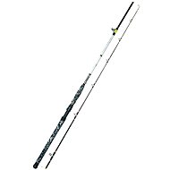 WFT Catbuster Spin 2,2m 20-210g - Fishing Rod