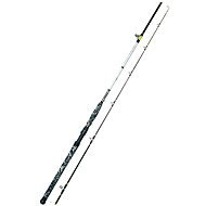 WFT Catbuster Spin 2,4m 20-210g - Fishing Rod