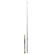 Vagner Magic In-line 21 2,1m 150-250g - Fishing Rod