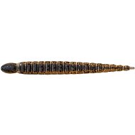 Keitech Custom Leech 3" 7,6cm 1,3g Cinnamon PP/Blue Neon 10pcs - Rubber Bait