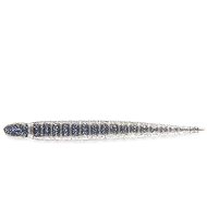 Keitech Custom Leech 3" 7,6cm 1,3g Pro Blue Shiner 10pcs - Rubber Bait