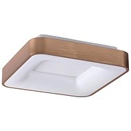 Rabalux 5056 - LED Ceiling Light CARMELA, LED/30W/230V - Ceiling Light