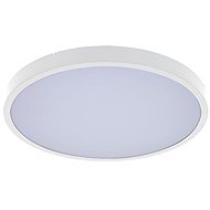 Rabalux ALENZO 71425 - Ceiling Light