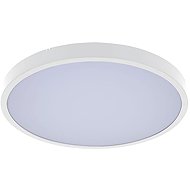 Rabalux ALENZO 71427 - Ceiling Light