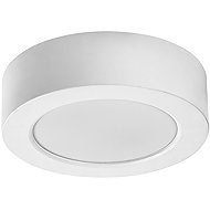 RABALUX 75071 SHAUN PLUS - Ceiling Light