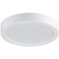 RABALUX 75072 SHAUN PLUS - Ceiling Light