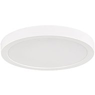 RABALUX 75073 SHAUN PLUS - Ceiling Light