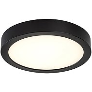RABALUX 75075 SHAUN PLUS - Ceiling Light