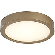 RABALUX 75078 SHAUN PLUS - Ceiling Light