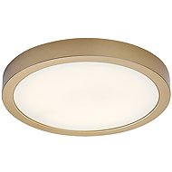 RABALUX 75079 SHAUN PLUS - Ceiling Light