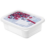 ROTHO Set of freezer jars Domino 4 × 0,5 l - Food Container Set