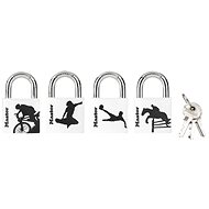 MasterLock 3430EURDSPO Padlock Made of Solid Aluminium - 30mm (1 pack / 6 pcs) - Padlock