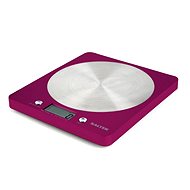Salter 1046 PKDR - Kitchen Scale