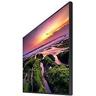 65" Samsung LH65QBBEBGCXEN - Large-Format Display
