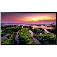 55" Samsung LH55QMCEBGCXEN - Large-Format Display