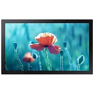13" Samsung QB13R - Monitor