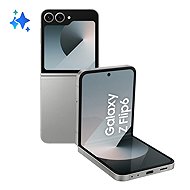 Samsung Galaxy Z Flip6 12 GB/256 GB Silver Shadow - Handy