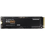 Samsung 970 EVO 250GB - SSD