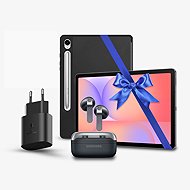 Samsung Galaxy Tab S10 Lite Wifi 6 GB / 128 GB Gray Bundle - Tablet