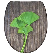 SCHÜTTE GINGKO und WOOD Duroplast, Soft Close - Toilet Seat
