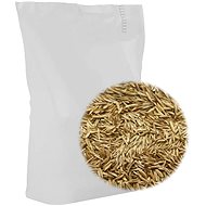 Grass seed 5 kg 315281 - Grass Mixture