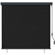 Outdoor roller blind 160 × 250 cm anthracite - Roller Blind