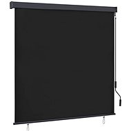 Outdoor roller blind 170 × 250 cm anthracite - Roller Blind