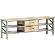 TV table 120x30x40 cm solid mango wood - TV Table