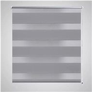 Roller blind day and night / Zebra / Twinroll 40x100 cm grey - Roller Blind