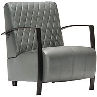 Gray Genuine Leather Armchair - Armchair
