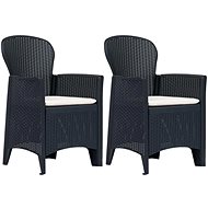 Garden chairs 2 pcs + cushions anthracite plastic rattan look 45599 - Garden Chair