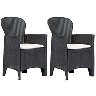 Garden chairs 2 pcs + cushions brown plastic rattan look 45600 - Garden Chair