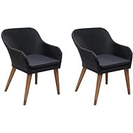 Garden Chairs with Cushions 2 pcs Polyrattan Black 44153 - Garden Armchair