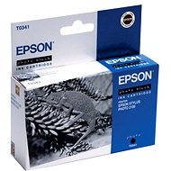 Epson T0341 fekete - Tintapatron