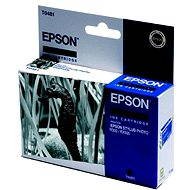 Epson T0481 Black - Cartridge