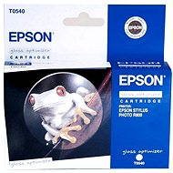 Epson T0540 glossy - Cartridge