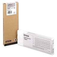 Epson T6067 light black - Cartridge