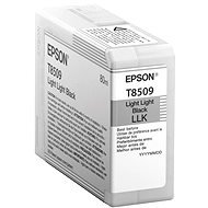 Epson T7850900 svetlá čierna - Cartridge