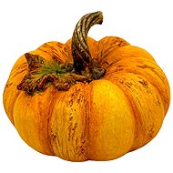 Emocio Polyresin Pumpkin with Leaf 10.7 × 7.7 cm, Orange - Decoration