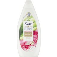 DOVE Shower Gel Aloe Vera & Rose Water 500ml - Shower Gel